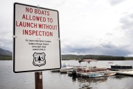 What does Colorado's zebra mussel fight need? Public education