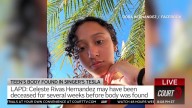 Investigator Claims to Know Who Moved D4vd’s Car With Body of Teenager