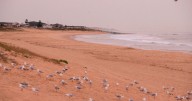 Ex cop begs for truth to be told over Brit girl who went missing from Australia beach