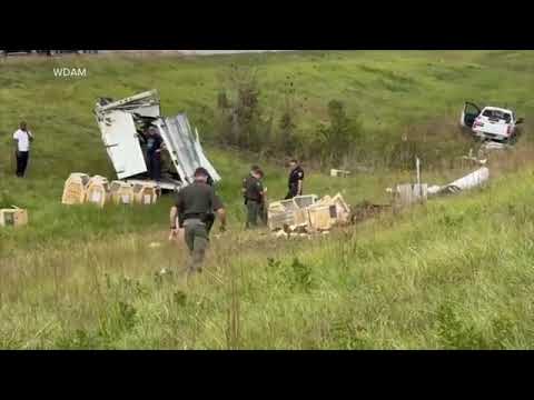 Monkeys escape from overturned truck on Mississippi highway