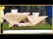 Best bites for your game day gathering