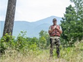 Belleville woodland conference will examine 'how to love a forest'