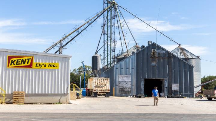 This grain elevator owner and others are expanding storage during an unusual harvest