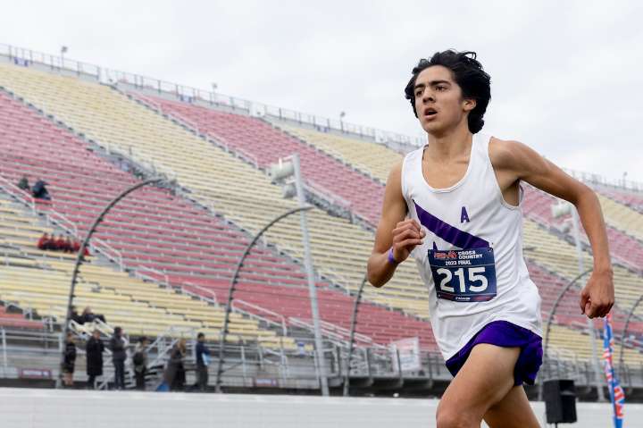 Top 20 Ann Arbor-area boys cross country times ahead of state finals