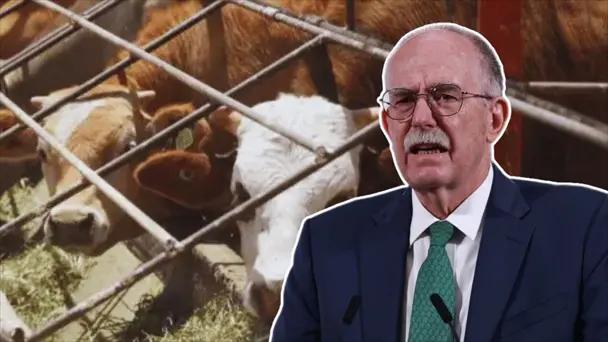 Sin fecha para reabrir frontera de EU al ganado: Sader