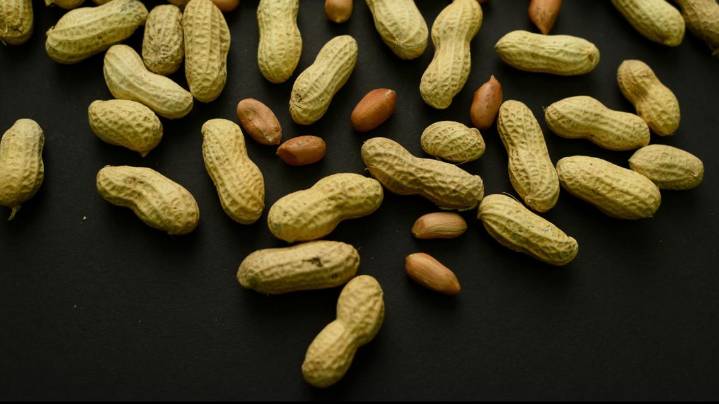 Guidance to feed babies peanuts helped thousands of kids avoid allergies, new study finds