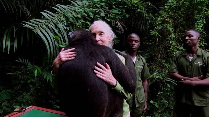 Muere a los 91 años la etóloga británica Jane Goodall