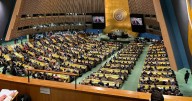 Para el período 2026-2028: Asamblea General reelige a Chile como miembro del Consejo de Derechos Humanos de la ONU