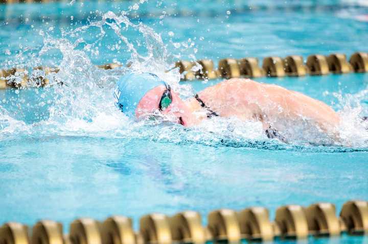 Ann Arbor-area girls swim and dive leaders for Oct. 30