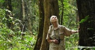 Conservationist Jane Goodall, whose work revolutionized the study of primates, has died
