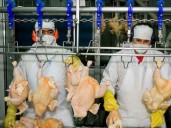 Exportaciones colombianas se abren paso en mercados de Asia