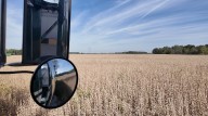 Soybean harvest is underway after weather creates challenging season