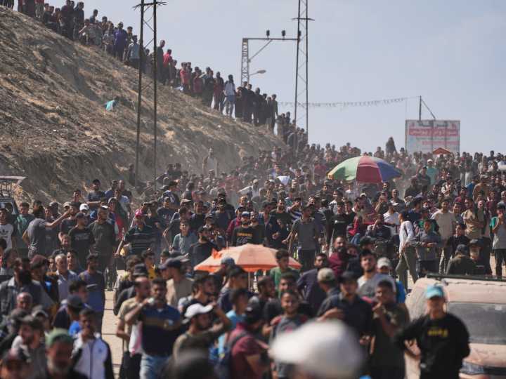 Displaced Palestinians begin pained journey home as Gaza truce takes hold