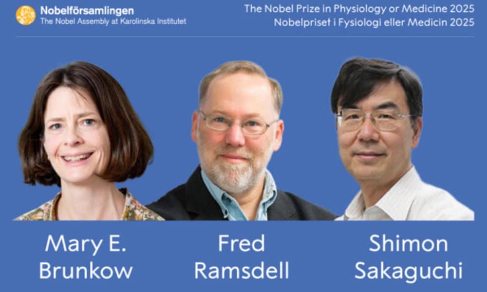 Nobel de Medicina a Brunkow, Ramsdell y Sakaguchi por la tolerancia inmunológica periférica