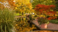 Create A Beautiful Fall Landscape That's Perfect For Shaded Areas Of Your Yard