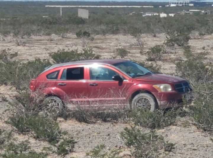 Buitres Muy Agradecidos