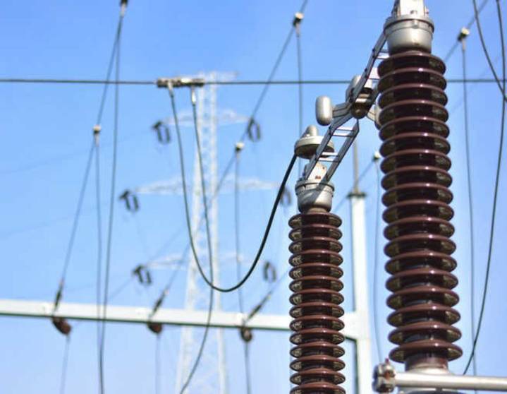 Powercom staff unite to protest Punjab govt’s plan to sell corporation’s properties