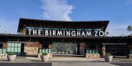 Glow Wild brings more holiday magic to Birmingham Zoo