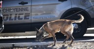 Suspected explosive device found and brought indoors prompts Wyoming Capitol evacuation
