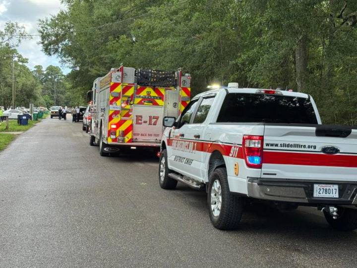 Strong winds drive 200-acre fire, endangering Pearl River area