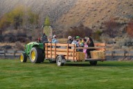 Join The Fall Harvest Roundup For Costumes And Games