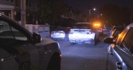 Armed thief steals $1,000 from Philadelphia family during home invasion in Olney, police say