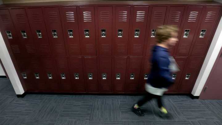 Data shows state test improvements, areas of concern for local schools