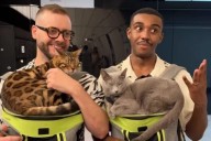 Why you shouldn’t travel with your pets