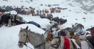 Last trekkers stuck near Mt Everest being evacuated