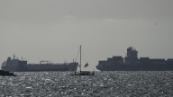 Mientras la Flotilla era interceptada, Gaza celebraba una red llena de peces