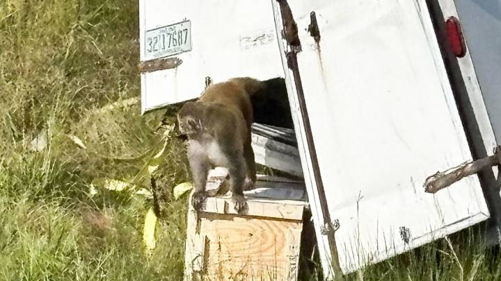 Video: Así se sacudió el avión cazahuracanes dentro del ojo de Melissa