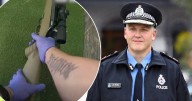 Crackdown on sovereign citizens: police seize 135 guns in WA