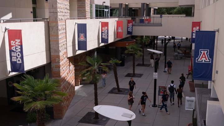 Federal funding contingent on political ideology is “deeply problematic,” says UA Faculty Senate Chair