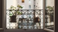 Ni aloe vera ni menta: las 5 plantas que perfuman tu casa de forma natural y sin químicos