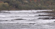 Audiobook released to address Maine's depleted fisheries and reduced tribal access