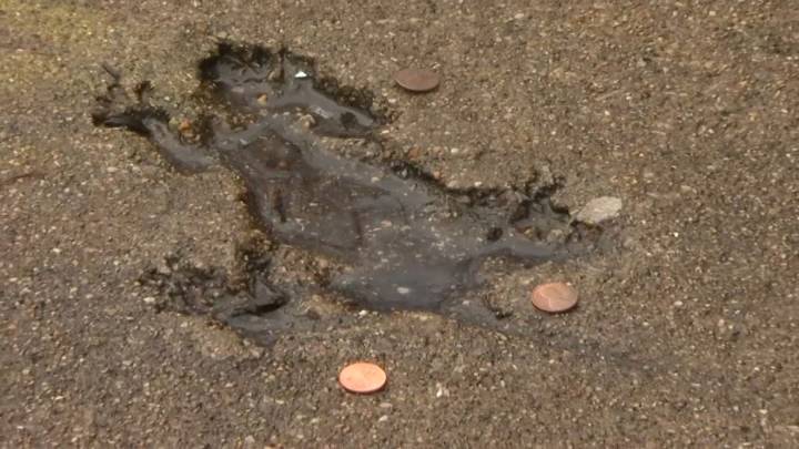 Chicago’s famous ‘rat hole’ wasn’t made by a rat, scientists find