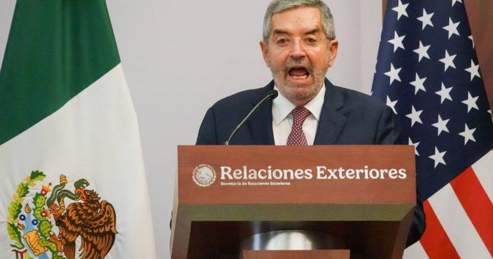 ''México coopera, pero no se subordina a ningún país'', dice De la Fuente