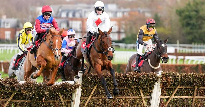 Half price tickets to Sandown Park Betfair Tingle Creek Festival