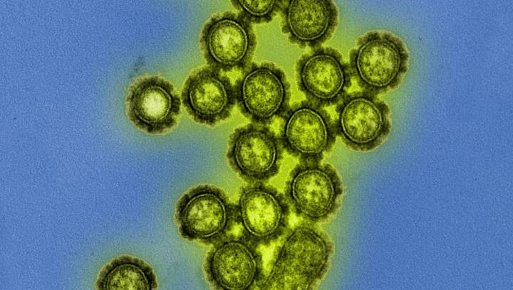 2024-25 Flu Season Was The Worst For US Children Since The Swine Flu Pandemic, With 280 Deaths