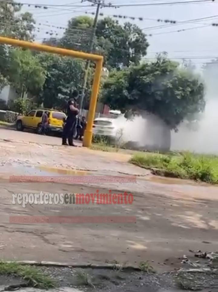 ASESINAN A SANGRE FRÍA A JESSICA FLOR LUNA AGUILERA, EX CANDIDATA DEL PT EN VERACRUZ
