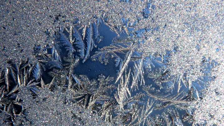 Colder than normal temperatures expected this week. Will it freeze?