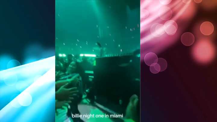 Billie Eilish yanked by fan while greeting fans at Miami concert
