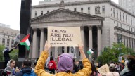 Reagan-Appointed Judge Slams Trump's Crackdown on Pro