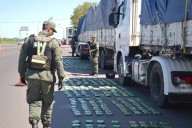 Secuestraron 129 kilos de hojas de coca en la ruta 11: los llevaban escondidos en la cabina de dos camiones