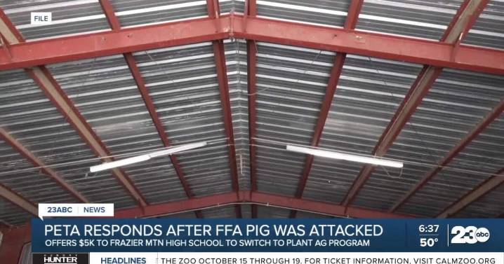 PETA offers $5,000 to transition school to plant-based agriculture after pig's death