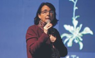 Científicos hablan de la polémica sobre Álvarez