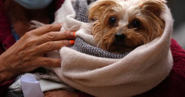 Vuelve la lluvia a la Región Metropolitana: cuándo comienza el nuevo evento de precipitaciones
