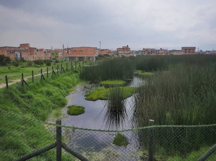 Controversia por el puente Tibanica: obra vial intervendrá el último humedal del sur de Bogotá