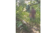 Missing Man Found Hanging from Tree in Bolangir