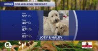 Columbus Day Dog Walking Forecast